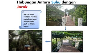 Hubungan Antara Suhu dengan
Jarak
Bacaan suhu
semakin rendah
apabila cerapan
suhu diambil
jauh kedalam
hutan
 