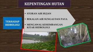  STORAN AIR HUJAN
 BEKALAN AIR SUNGAI DAN PAYA
 MENGAWAL KESEIMBANGAN
KITAR HIDROLOGI
TERHADAP
HIDROLOGI
KEPENTINGAN HUTAN
 