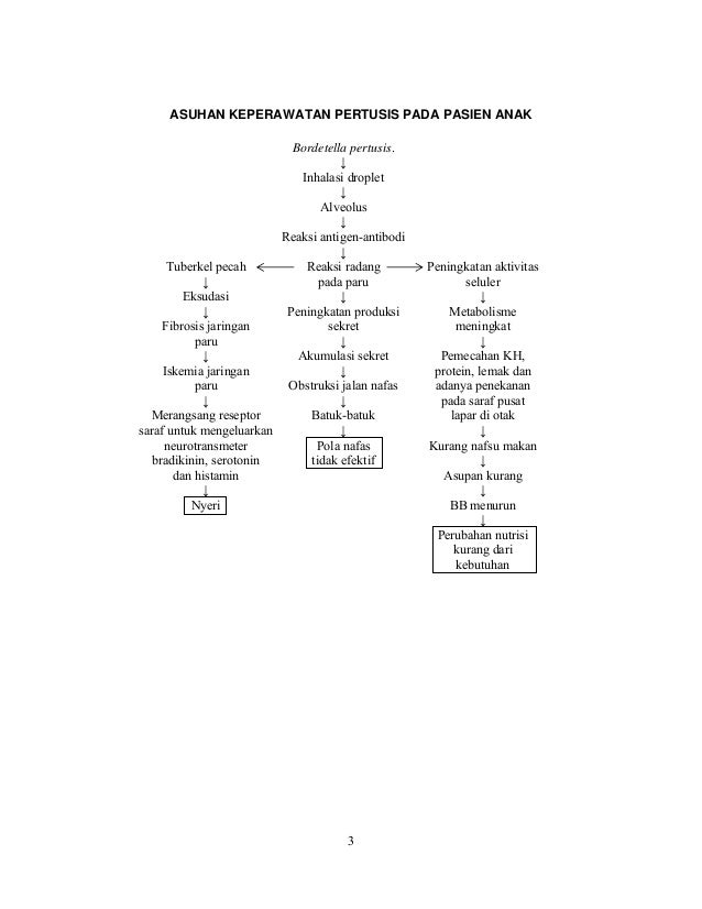 PATOFISIOLOGI PERTUSSIS EPUB PATOFISIOLOGI PERTUSSIS EPUB