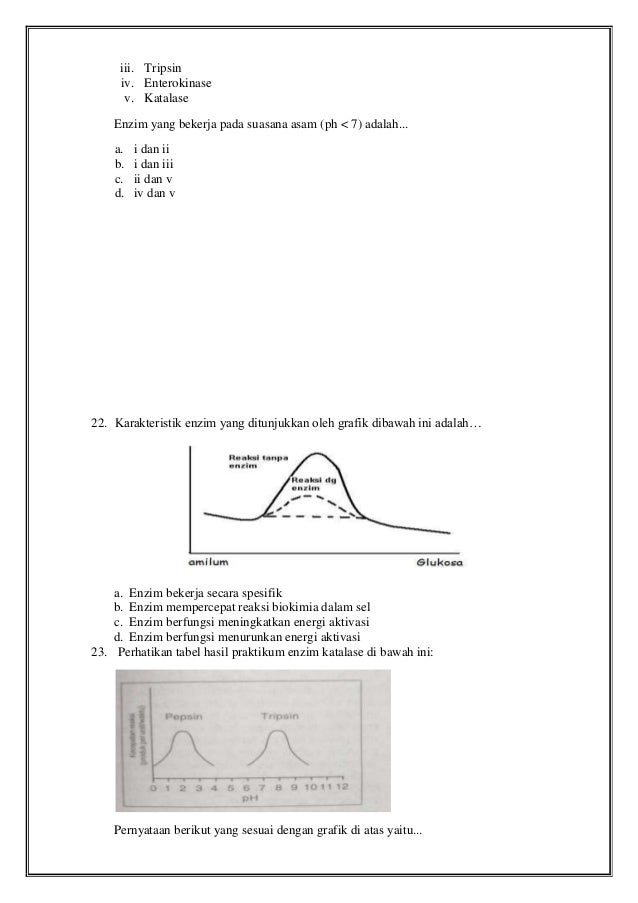 Grafik Yang Menggambarkan Mekanisme Kerja Enzim Terhadap