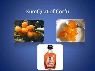 KumQuat of Corfu
 