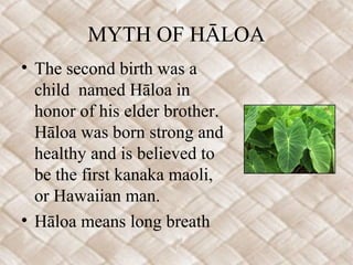 MYTH OF HĀLOA
• The second birth was a
  child named Hāloa in
  honor of his elder brother.
  Hāloa was born strong and
  healthy and is believed to
  be the first kanaka maoli,
  or Hawaiian man.
• Hāloa means long breath
 