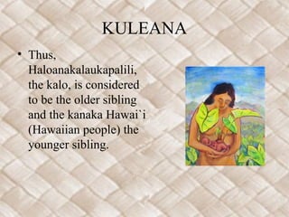 KULEANA
• Thus,
Haloanakalaukapalili,
the kalo, is considered
to be the older sibling
and the kanaka Hawai`i
(Hawaiian peo...