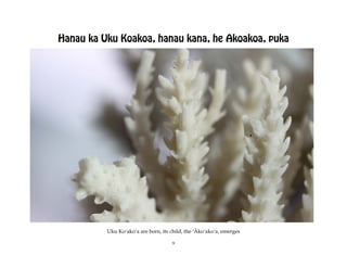 Hanau ka Uku Koakoa, hanau kana, he Akoakoa, puka




          Uku Koÿakoÿa are born, its child, the ‘Äkoÿakoÿa, emerges

                                      9
 