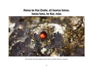 Hanau ke Koe Enuhe, eli hoopuu honua,
      hanau kana, he Koe, puka




 Koÿe Enuhe are born, piling up the earth, its child, the Koÿe, emerges



                                   10
 
