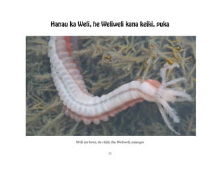Hanau ka Weli, he Weliweli kana keiki, puka




         Weli are born, its child, the Weliweli, emerges


                               12
 
