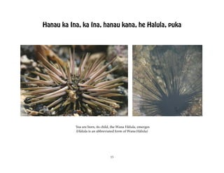 Hanau ka Ina, ka Ina, hanau kana, he Halula, puka




           ÿIna are born, its child, the Wana Hälula, emerges
            (Hälula is an abbreviated form of Wana Hälula)




                                  13
 