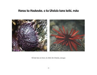 Hanau ka Haukeuke, o ka Uhalula kana keiki, puka




          Häÿukeÿuke are born, its child, the Uhalula, emerges




                                   15
 