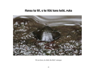 Hanau ka Wi, o ke Kiki kana keiki, puka




        Wi are born, its child, the Kiki*, emerges



                           25
 