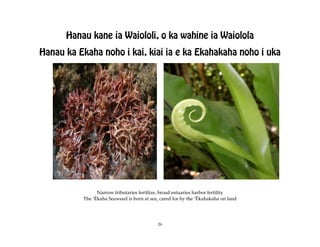 Hanau kane ia Waiololi, o ka wahine ia Waiolola
Hanau ka Ekaha noho i kai, kiai ia e ka Ekahakaha noho i uka




                Narrow tributaries fertilize, broad estuaries harbor fertility
          The ÿËkaha Seaweed is born at sea, cared for by the ÿËkahakaha on land




                                            26
 