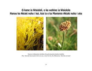 O kane ia Waiololi, o ka wahine ia Waiolola
Hanau ka Akiaki noho i kai, kiai ia e ka Manienie Akiaki noho i uka




                    Narrow tributaries fertilize, broad estuaries harbor fertility
          The ÿAkiÿaki Seaweed is born at sea, cared for by the Mänienie ÿAkiÿaki on land




                                                28
 