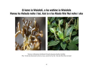 O kane ia Waiololi, o ka wahine ia Waiolola
Hanau ka Aalaula noho i kai, kiai ia e ka Alaala Wai Nui noho i uka




                   Narrow tributaries fertilized, broad estuaries harbor fertility
          The ÿAÿalaÿula Seaweed is born at sea, cared for by the ÿAlaÿala Wai Nui on land




                                                 30
 
