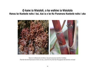 O kane ia Waiololi, o ka wahine ia Waiolola
Hanau ke Koeleele noho i kai, kiai ia e ke Ko Punapuna Koeleele noho i uka




                        Narrow tributaries fertilize, broad estuaries harbor fertility
          The Köÿeleÿele Seaweed is born at sea, cared for by the Kö Punapuna Köÿeleÿele on land



                                                    34
 