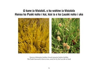 O kane ia Waiololi, o ka wahine ia Waiolola
Hanau ka Puaki noho i kai, kiai ia e ka Lauaki noho i uka




             Narrow tributaries fertilize, broad estuaries harbor fertility
          The Puakï Seaweed is born at sea, cared for by the Lauÿaki on land




                                          36
 