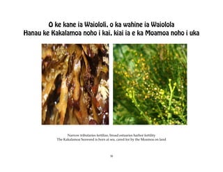 O ke kane ia Waiololi, o ka wahine ia Waiolola
Hanau ke Kakalamoa noho i kai, kiai ia e ka Moamoa noho i uka




                 Narrow tributaries fertilize, broad estuaries harbor fertility
           The Kakalamoa Seaweed is born at sea, cared for by the Moamoa on land



                                            38
 