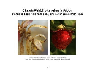 O kane ia Waiololi, o ka wahine ia Waiolola
Hanau ka Limu Kala noho i kai, kiai ia e ka Akala noho i uka




               Narrow tributaries fertilize, broad estuaries harbor fertility
          The Limu Kala Seaweed is born at sea, cared for by the ‘Äkala on land




                                           42
 