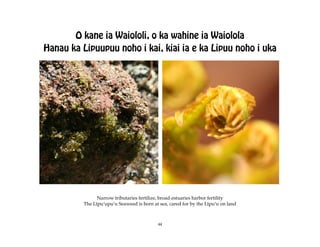 O kane ia Waiololi, o ka wahine ia Waiolola
Hanau ka Lipuupuu noho i kai, kiai ia e ka Lipuu noho i uka




                Narrow tributaries fertilize, broad estuaries harbor fertility
          The Lïpuÿupuÿu Seaweed is born at sea, cared for by the Lïpuÿu on land



                                            44
 