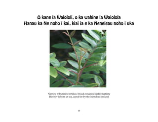O kane ia Waiololi, o ka wahine ia Waiolola
Hanau ka Ne noho i kai, kiai ia e ka Neneleau noho i uka




            Narrow tributaries fertilize, broad estuaries harbor fertility
            The Në* is born at sea, cared for by the Neneleau on land




                                          48
 