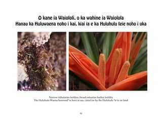 O kane ia Waiololi, o ka wahine ia Waiolola
Hanau ka Huluwaena noho i kai, kiai ia e ka Huluhulu Ieie noho i uka




                     Narrow tributaries fertilize, broad estuaries harbor fertility
         The Huluhulu Waena Seaweed* is born at sea, cared for by the Huluhulu ÿIeÿie on land




                                                  50
 