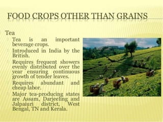 agriculture class 10 geography