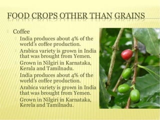 agriculture class 10 geography