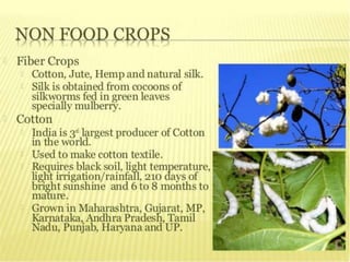 agriculture class 10 geography