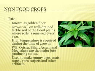 agriculture class 10 geography