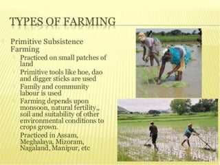 agriculture class 10 geography