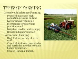 agriculture class 10 geography