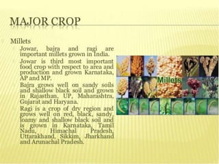 agriculture class 10 geography