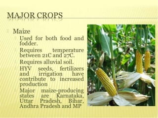 agriculture class 10 geography