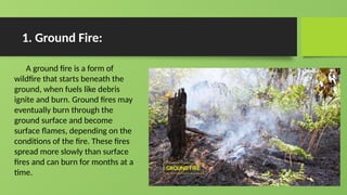 an assignment on forest fire by kunal banjare | PPTX