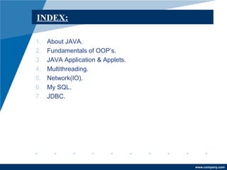Fundamentals of JAVA | PPT | Databases | Computer Software and Applications