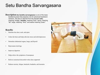 Setu Bandha Sarvangasana
Description-etu bandha sarvangasana is one of the basic
backbend poses that prepares one for advanced backbend
versions. The term is derived from the Sanskrit setu,
meaning "bridge," bandha, meaning "lock," sarva, meaning
"all," anga, meaning, "limb," and asana meaning "pose."
Benefits
• Stretches the chest, neck, and spine
• Calms the brain and helps alleviate stress and mild depression
• Stimulates abdominal organs, lungs, and thyroid
• Rejuvenates tired legs
• Improves digestion
• Helps relieve the symptoms of menopause
• Relieves menstrual discomfort when done supported
• Reduces anxiety, fatigue, backache, headache, and insomnia
 