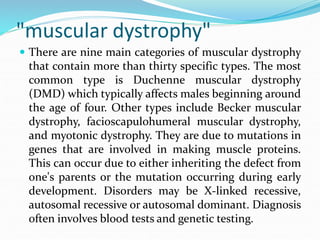"muscular dystrophy"
 There are nine main categories of muscular dystrophy
that contain more than thirty specific types. The most
common type is Duchenne muscular dystrophy
(DMD) which typically affects males beginning around
the age of four. Other types include Becker muscular
dystrophy, facioscapulohumeral muscular dystrophy,
and myotonic dystrophy. They are due to mutations in
genes that are involved in making muscle proteins.
This can occur due to either inheriting the defect from
one's parents or the mutation occurring during early
development. Disorders may be X-linked recessive,
autosomal recessive or autosomal dominant. Diagnosis
often involves blood tests and genetic testing.
 