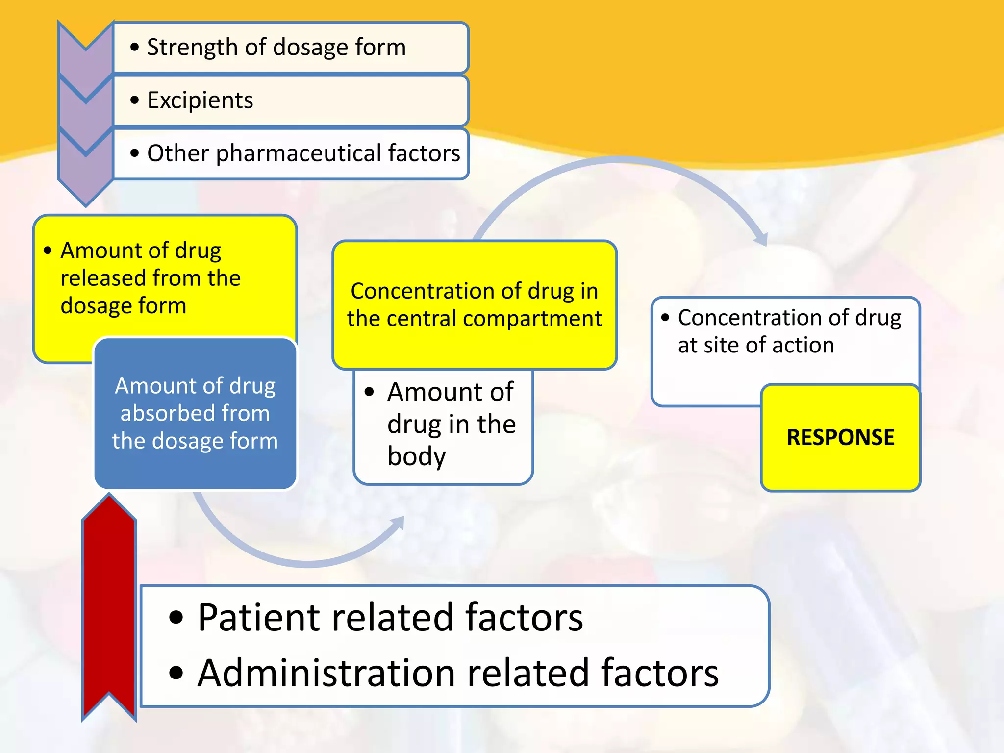• Amount of drug
released from the
dosage form
Amount of drug
absorbed from
the dosage form
• Amount of
drug in the
body
Concentration of drug in
the central compartment • Concentration of drug
at site of action
RESPONSE
• Strength of dosage form
• Excipients
• Other pharmaceutical factors
• Patient related factors
• Administration related factors
 
