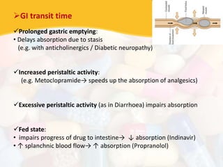 GI transit time
Prolonged gastric emptying:
• Delays absorption due to stasis
(e.g. with anticholinergics / Diabetic neuropathy)
Increased peristaltic activity:
(e.g. Metoclopramide→ speeds up the absorption of analgesics)
Excessive peristaltic activity (as in Diarrhoea) impairs absorption
Fed state:
• impairs progress of drug to intestine→ ↓ absorption (Indinavir)
• ↑ splanchnic blood flow→ ↑ absorption (Propranolol)
 