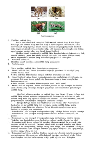 keanekaragaman
B. Klasifikasi makhluk hidup
Saat ini bumi dihuni tidak kurang dari 2.000.000 jenis makhluk hidup. Karena begitu
banyaknya jenis makhluk hidup, kita tidak mungkin dapat mengenali satu demi satu. Untuk
mempermudah mempelajarinya, ilmuan berusaha mencari cara yang paling mudah dan tepat,
yaitu dengan cara pengelompokan makhluk hidup. Oleh karena itu, berkembanglah ilmu tentang
pengelompakan makhluk hidup yang dikenal dengan klasifikasi.
Klasifikasi adalah pengelompokan makhluk hidup ke dalam kelompok-kelompoknya, baik
menurut morfologi (bentuk luar tubuh), fisiologi (faal tubuh), dan anatomi (susunan tubuh).
Dalam pengelompokan makhluk hidup ada dua hal yang perlu kita kuasai yaitu:
1. Melakukan identifikasi
Identifikasi adalah menentukan ciri makhluk hidup yang diamati
2. Pemberian nama
Sistem klasifikasi makhluk hidup dapat dilakukan dengan cara:
1. Sistem klasifikasi alami, disusun berdasarkan banyaknya persamaan ciri morfologis yang
dimiliki makhluk hidup.
Contoh: tumbuhan diklasifikasikan menjadi tumbuhan mmonokotil dan dikotil.
2. Sistem klasifikasi buatan, disusun berdasarkan adanya satu atau beberapa ciri morfologis, alat
reproduksi, lingkungan tempat tumbuh, dan daerah penyebarannya tanpa memperhatikan
kesamaan strukturnya.
Contoh: klasifikasi berdasarkan perawakan (herba, semak, perdu, pohon)
3. Sistem klasifikasi filogenetik, disusun berdasarkan jauh atau dekatnya hubungan kekerabatan
antar kelompok yang satu dengan kelompok yang lainnya dan mencerminkan perkembangan
makhluk hidup.
Identifikasi adalah menentukan ciri makhluk hidup yang diamati. Di antara berbagai jenis
makhluk hidup terdapat persamaan dan perbedaan ciri. Persamaan dan perbedaan ciri pada
makhluk hidup inilah yang digunakan sebagai dasar klasifikasi. Jadi dalam klasifikasi, jenis-jenis
yang mempunyai suatu kemiripan ditempatkan dalam satu kelompok.
Terdapat berbagai macam cara mengklasifikasikan makhluk hidup. Ada klasifikasi
berdasarkan ciri luar makhluk hidup (ciri morfologi), manfaat makhluk hidup, habitus
(perawakan), tempat hidup, dan sebagainya. Berikut ini contoh pengelompokan hewan
berdasarkan kesamaan jenis makanannya.
1. Hewan karnivor, yaitu kelompok hewan pemakan daging. Misalnya harimau, serigala, dan singa.
2. Hewan herbivor, yaitu kelompok hewan pemakan tumbuhan. Misalnya kerbau, rusa, dan
jerapah.
3. Hewan omnivor, yaitu kelompok hewan pemakan daging dan tumbuhan, misalnya musang.
Tumbuhan juga dapat dikelompokkan berdasarkan pada ciri morfologi/bentuk luar tubuh.
1. Berdasarkan jumlah keping lembaga biji, tumbuhan dibedakan menjadi dua kelompok, yaitu
tumbuhan dikotil dan monokotil. Tumbuhan dikotil adalah kelompok tumbuhan yang bijinya
mempunyai dua keping lembaga, misalnya kacang tanah, mangga, apel, dan durian. Sedangkan
tumbuhan monokotil adalah kelompok tumbuhan yang bijinya mempunyai satu keping lembaga,
misalnya jagung, kelapa, dan padi.
2. Berdasarkan letak bijinya, tumbuhan dibedakan menjadi dua kelompok, yaitu Gymnospermae
dan Angiospermae. Gymnospermae adalah kelompok tumbuhan yang berbiji terbuka (bijinya
tidak dibungkus oleh daun buah) misalnya melinjo, pakis haji, dan pinus. Sedangkan
 