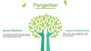 Comprehensive Guide to Dichotomous and Determination Keys in Biological ...
