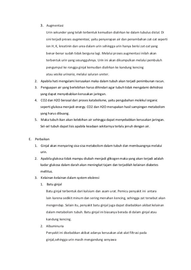 Kunci Jawaban Soal Sistem Ekskresi