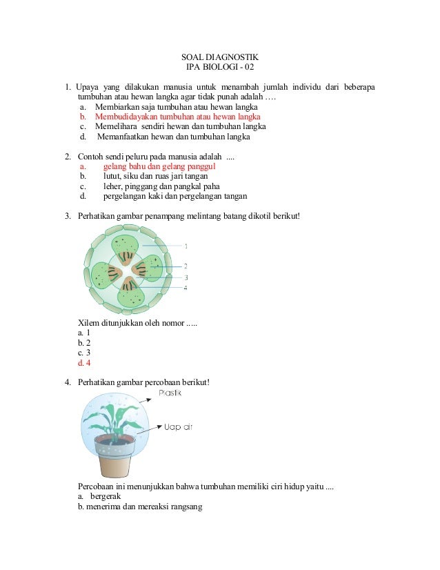 Kunci Soal Tes Diagnostik Biologi 02