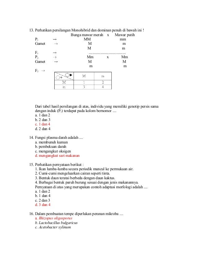 Kunci soal tes diagnostik biologi 02