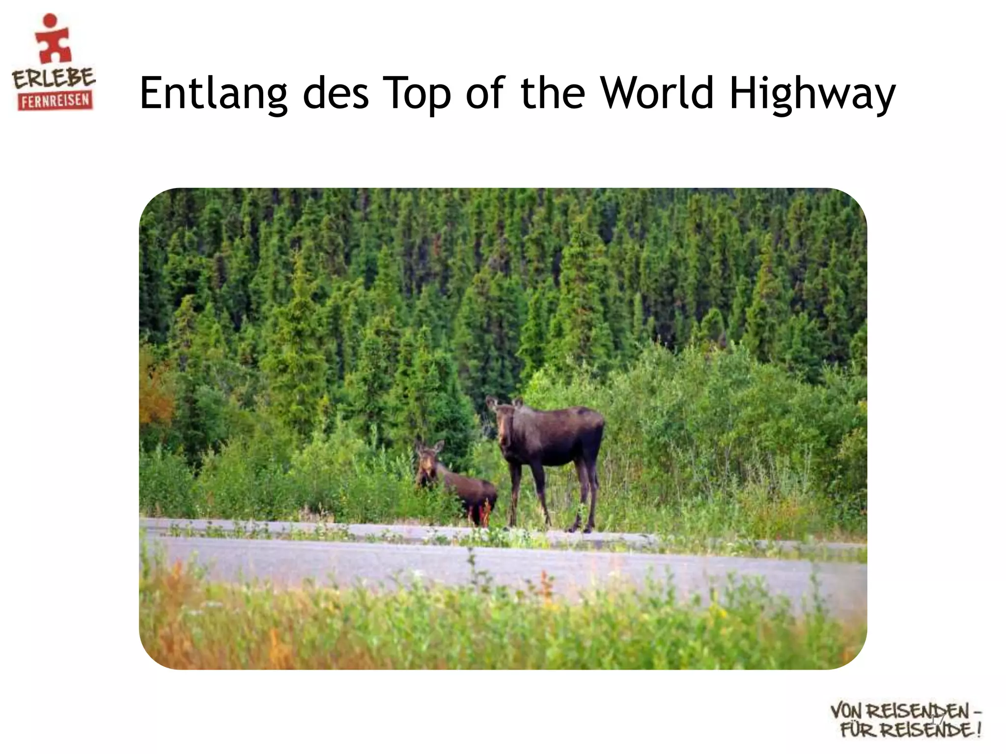 Entlang des Top of the World Highway
17
 