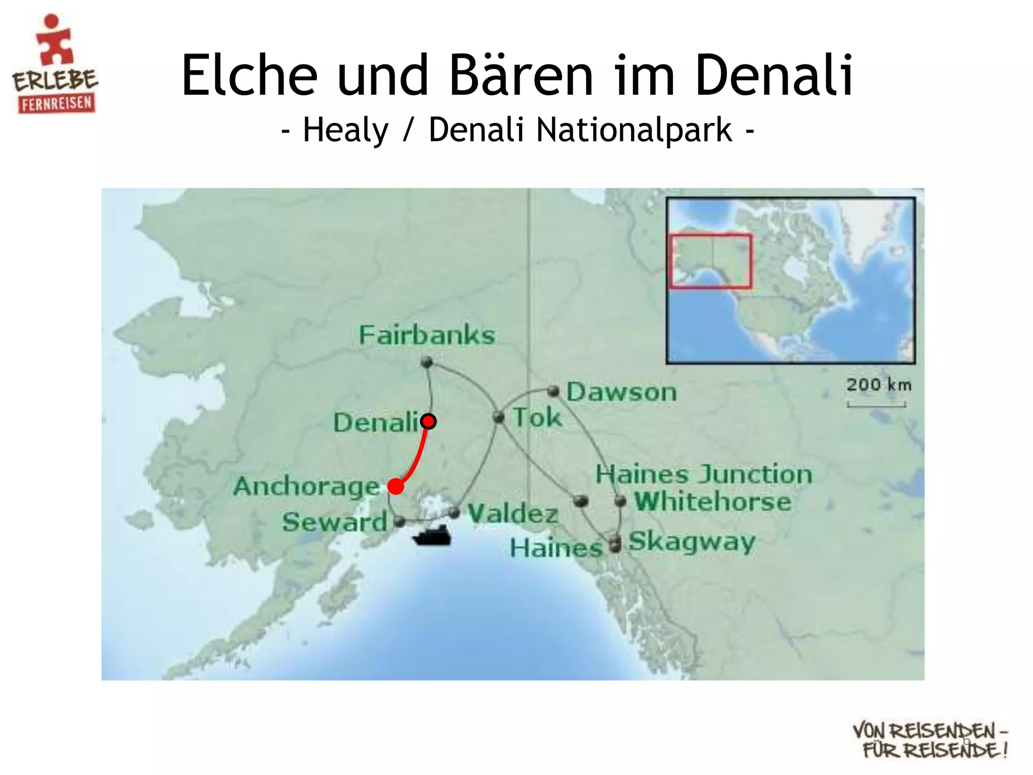 Elche und Bären im Denali
- Healy / Denali Nationalpark -
6
 