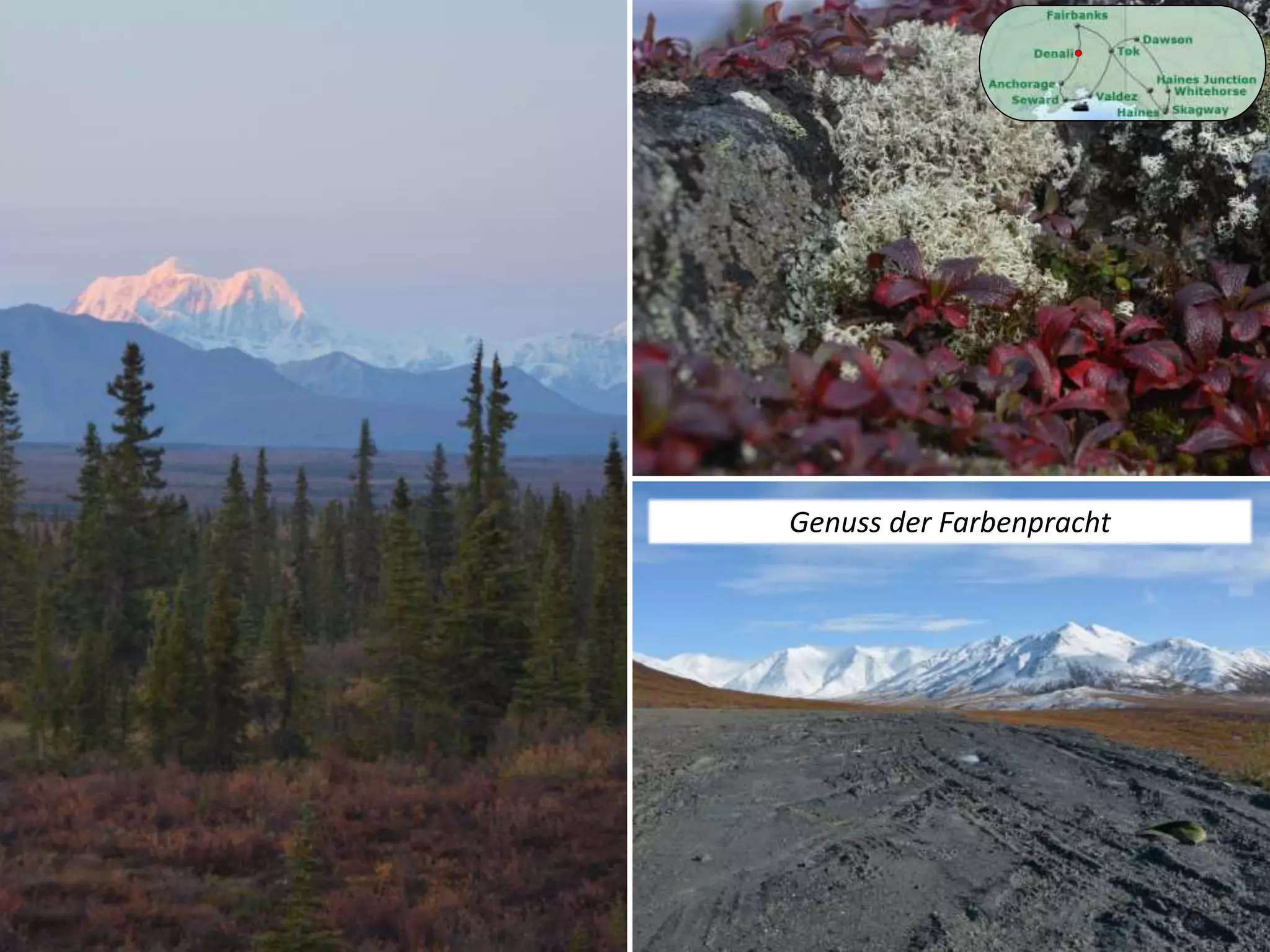 Genuss der Farbenpracht
 