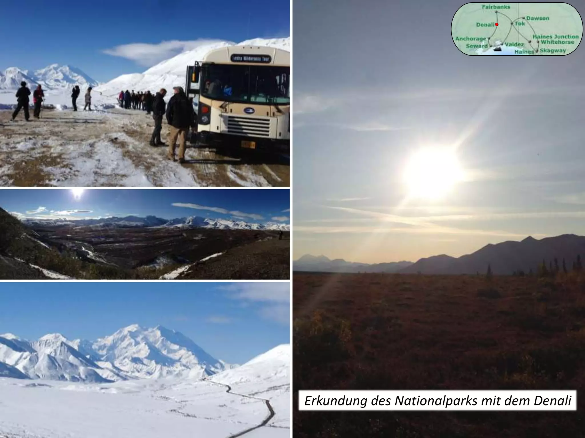 Erkundung des Nationalparks mit dem Denali
 