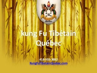 kung Fu Tibétain
Québec
418-955-3882
KungFuTibetainQuebec.com

 