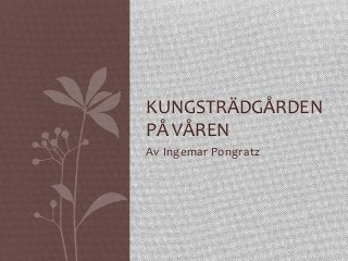 Av	
  Ingemar	
  Pongratz	
  
KUNGSTRÄDGÅRDEN	
  
PÅ	
  VÅREN	
  
 