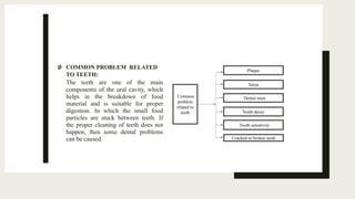 Ø COMMON PROBLEM RELATED
TO TEETH:
The teeth are one of the main
components of the oral cavity, which
helps in the breakdown of food
material and is suitable for proper
digestion. In which the small food
particles are stuck between teeth. If
the proper cleaning of teeth does not
happen, then some dental problems
can be caused.
Plaque
Tartar
Dental stain
Tooth decay
Tooth sensitivity
Common
problem
related to
teeth
Cracked or broken teeth
 