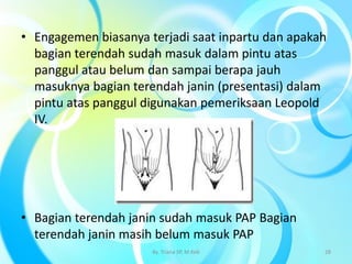 • Engagemen biasanya terjadi saat inpartu dan apakah
bagian terendah sudah masuk dalam pintu atas
panggul atau belum dan sampai berapa jauh
masuknya bagian terendah janin (presentasi) dalam
pintu atas panggul digunakan pemeriksaan Leopold
IV.
• Bagian terendah janin sudah masuk PAP Bagian
terendah janin masih belum masuk PAP
By. Triana SP, M.Keb 28
 